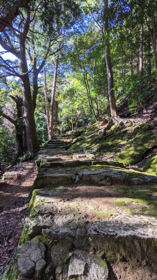 Апартаменты 神倉書斎 Kamikura-Hideaway Шингу Экстерьер фото
